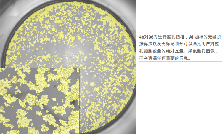 微信圖片_20250108100021.png 微信圖片_20250108100021.png